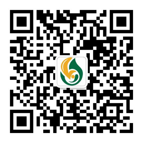 手機站二維碼